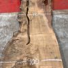 Burr Oak #043. Kiln dried slabs for making resin table tops