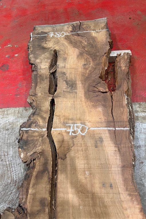 Burr Oak #043. Kiln dried slabs for making resin table tops