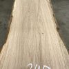 Oak #034