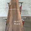 Walnut #003