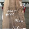 Walnut #002