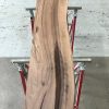 Walnut #002