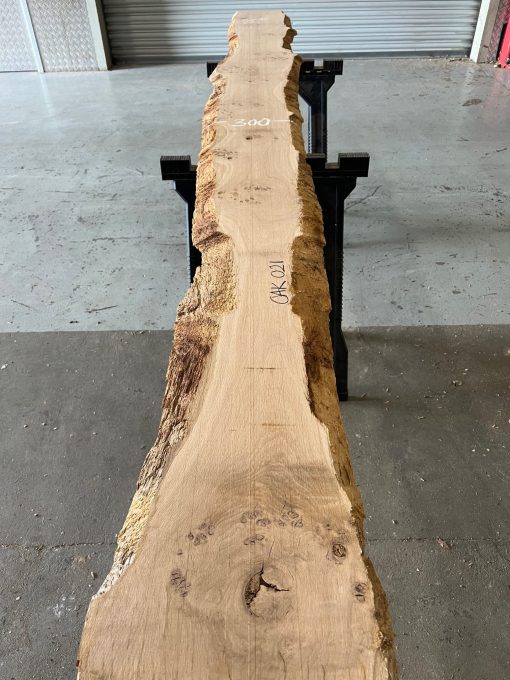 Oak #021