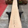 Oak 068 kiln dried piece of wood for sale