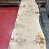 Oak #079 kiln dried timber plank