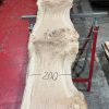 Oak #083 kiln dried timber plank