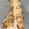 Oak #075 kiln dried timber plank