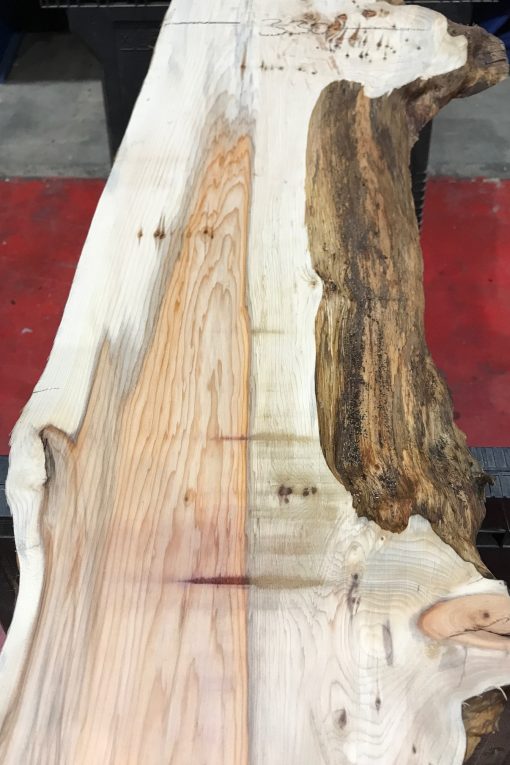Yew kiln dried timber plank #016
