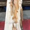 Yew kiln dried timber plank #016