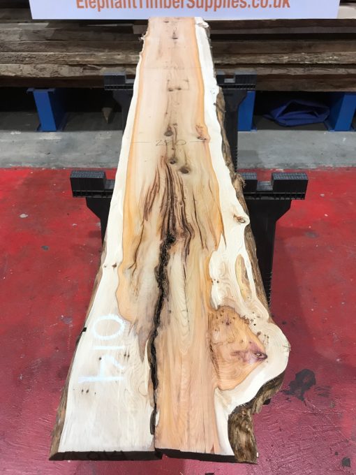 Yew kiln dried timber plank #014
