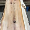 Yew kiln dried timber plank #014