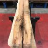 Yew kiln dried timber plank #014