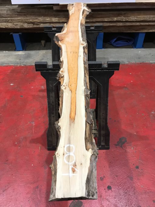 Yew kiln dried timber plank #004