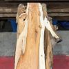 Yew kiln dried timber plank #004
