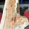 Yew kiln dried timber plank #009