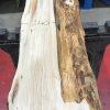Yew kiln dried timber plank #005