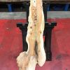 Yew kiln dried timber plank #005