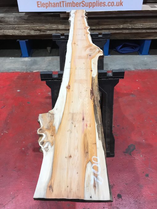 Yew kiln dried timber plank #002