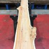 Yew kiln dried timber plank #002