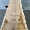 Live edge Oak plank #008