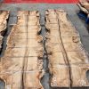 Oak Book Matched Pair #004 rough sawn and kiln dried timber slabs
