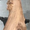 Burr Elm #001