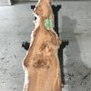 Burr Elm #001