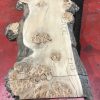 Burr Elm kiln dried plank #012