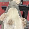 Burr Elm kiln dried plank #012