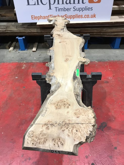 Burr Elm kiln dried plank #011