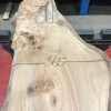 Burr Elm kiln dried plank #011
