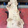 Burr Elm kiln dried plank #028
