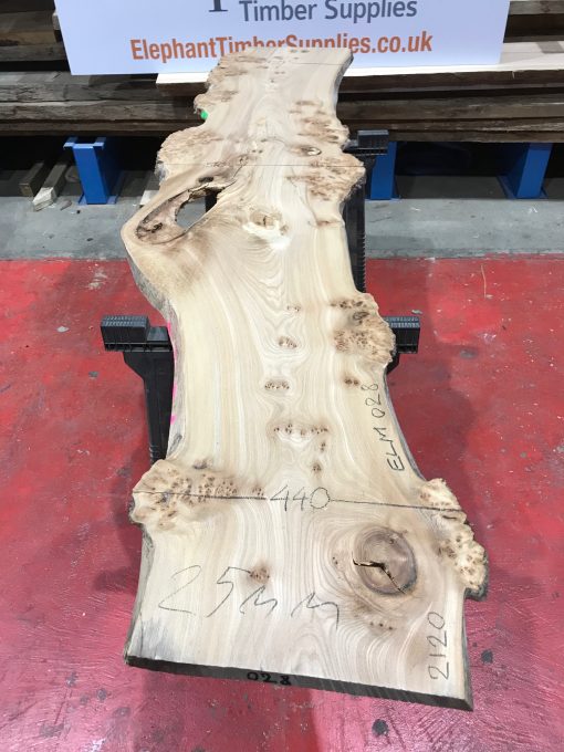 Burr Elm kiln dried plank #028