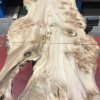 Burr Elm kiln dried plank #028