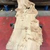 Burr Elm kiln dried plank #038