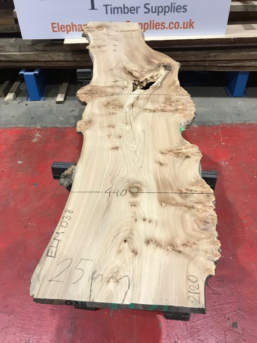 Burr Elm kiln dried plank #038