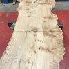 Burr Elm kiln dried plank #038