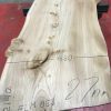 Burr Elm kiln dried plank #053