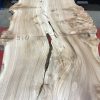 Burr Elm kiln dried plank #053