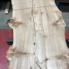 Burr Elm kiln dried plank #053