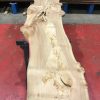 Burr Elm kiln dried plank #053