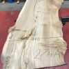 Burr Elm kiln dried plank #054