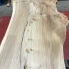 Burr Elm kiln dried plank #054