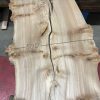 Burr Elm kiln dried plank #054