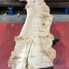 Burr Elm kiln dried plank #061