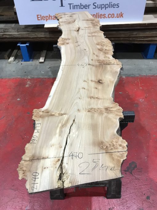 Burr Elm kiln dried plank #061