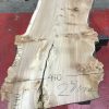 Burr Elm kiln dried plank #061