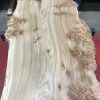 Burr Elm kiln dried plank #061