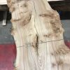 Burr Elm kiln dried plank #061