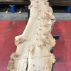 Burr Elm kiln dried plank #062